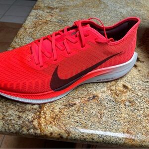 NWOT Nike Zoom Pegasus Turbo 2 in box